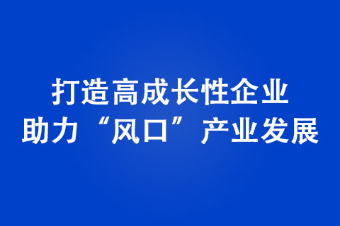 打造高成長(zhǎng)性企業(yè) 助力“風(fēng)口”產(chǎn)業(yè)發(fā)展