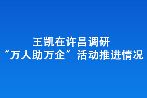 王凱在許昌調(diào)研“萬人助萬企”活動推進情況